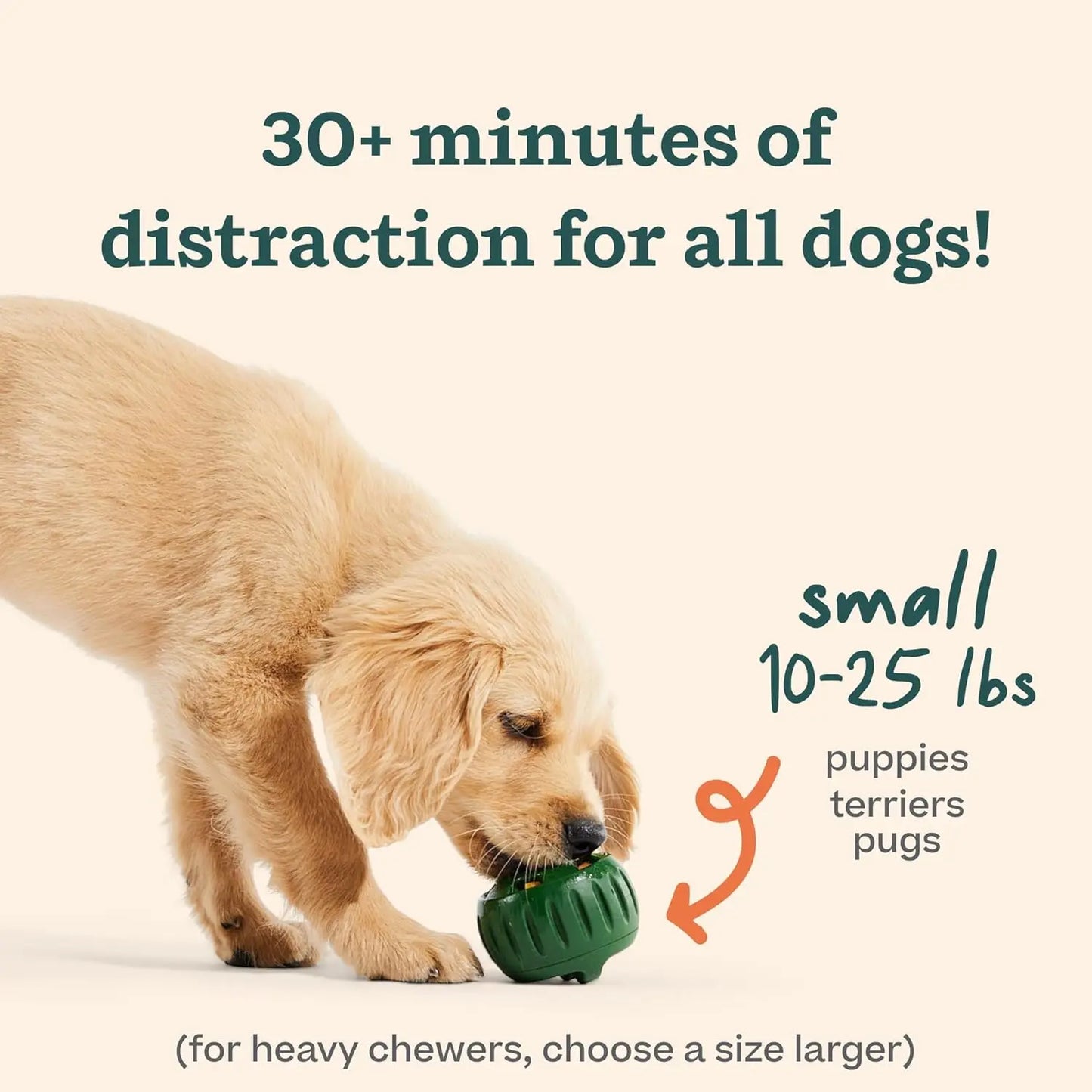 Pupsicle - Durable Interactive Dog Toy for Small Breeds (10-25 lbs) - Safe, Low-Mess Design to Engage and Entertain Your Dog