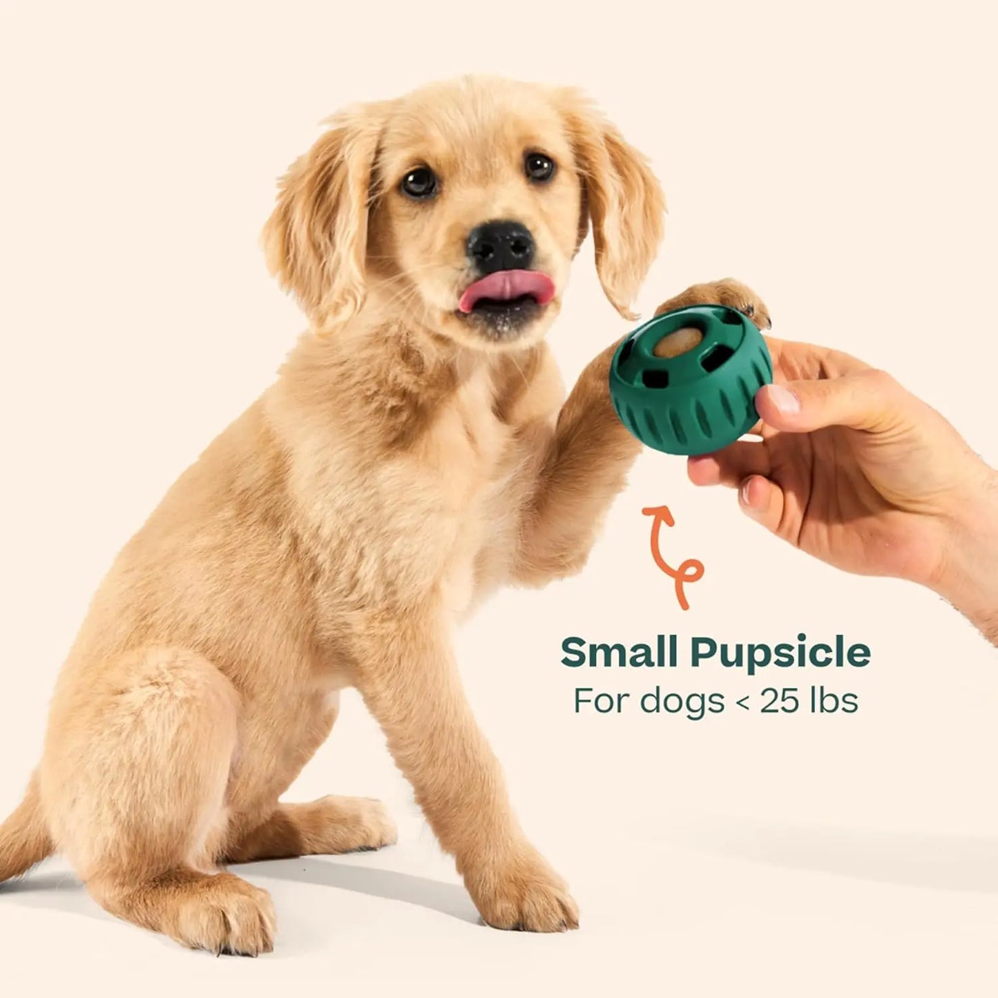 Pupsicle - Long-Lasting Interactive Dog Toy to Keep Your Pup Busy and Distracted - Safe for Dogs - Low-Mess Design - Dog Toys for Small Dogs 10-25 Lbs