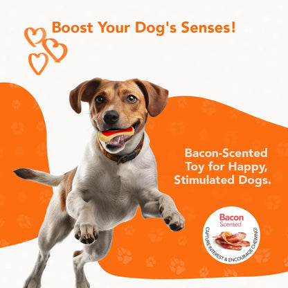 Rethink Pet Dental Bone Chew Toy, Bacon Scented for Dog Stimulation - Small, Durable Nylon Dog Toy for Dental Hygiene