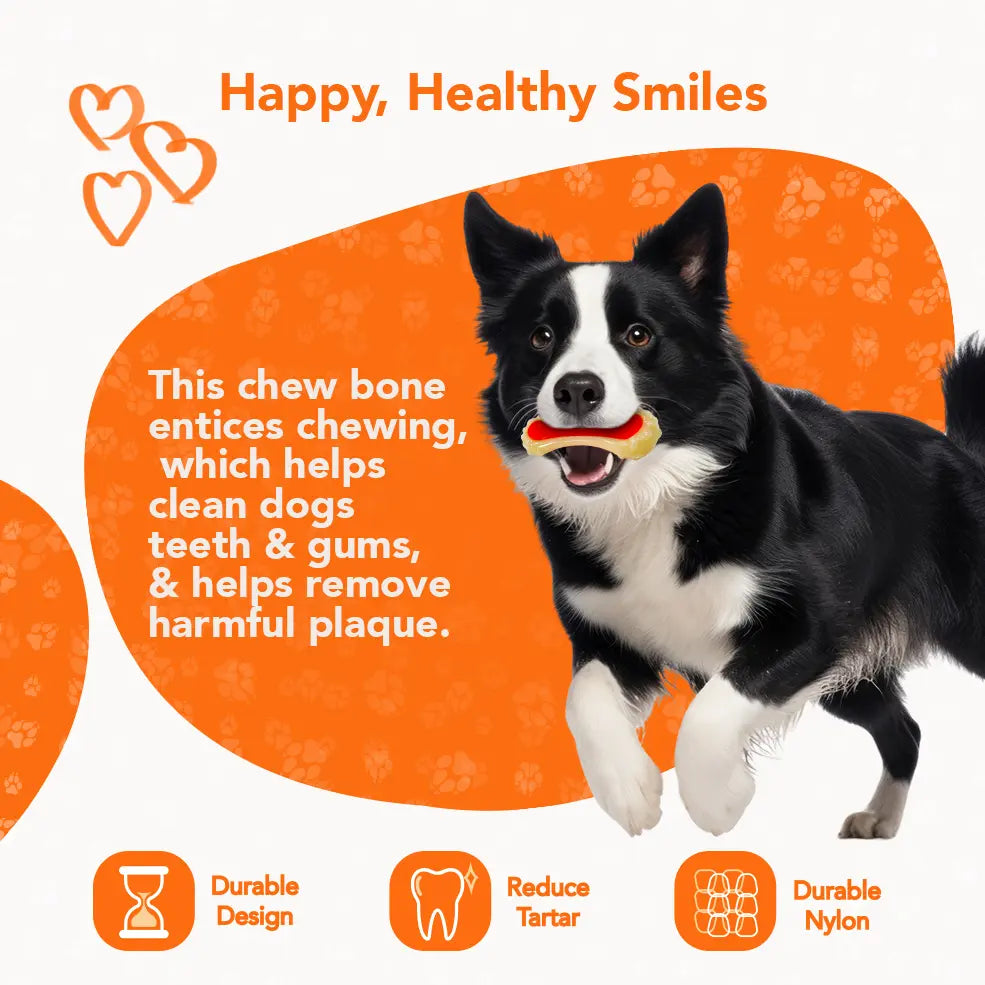 Rethink Pet Dental Bone Chew Toy, Bacon Scented for Dog Stimulation - Small, Durable Nylon Dog Toy for Dental Hygiene