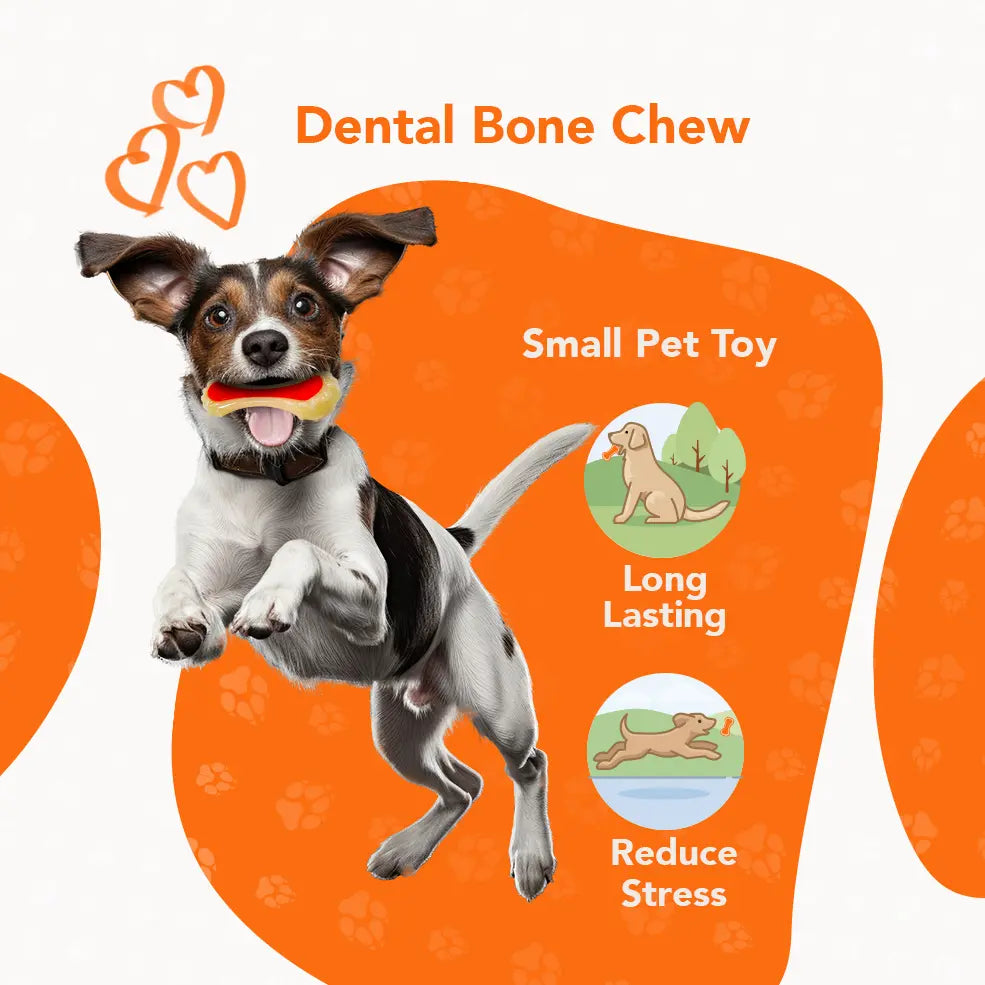 Rethink Pet Dental Bone Chew Toy, Bacon Scented for Dog Stimulation - Small, Durable Nylon Dog Toy for Dental Hygiene